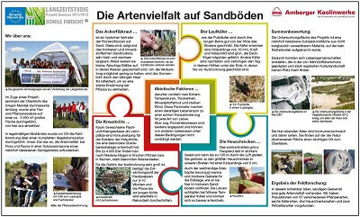 Ergebnis Langzeitstudie Übersicht Artenvielfalt Sandböden